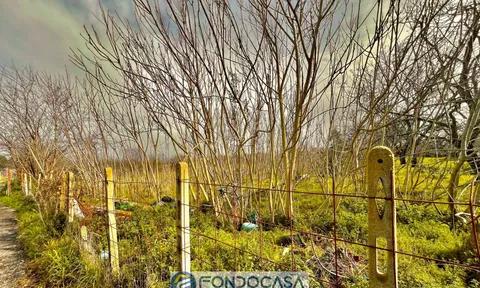 Land in Sant'Antimo, Naples
