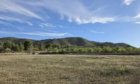 Land in Monovar, Alicante