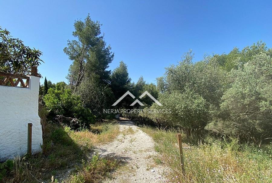 Land in Frigiliana, Malaga