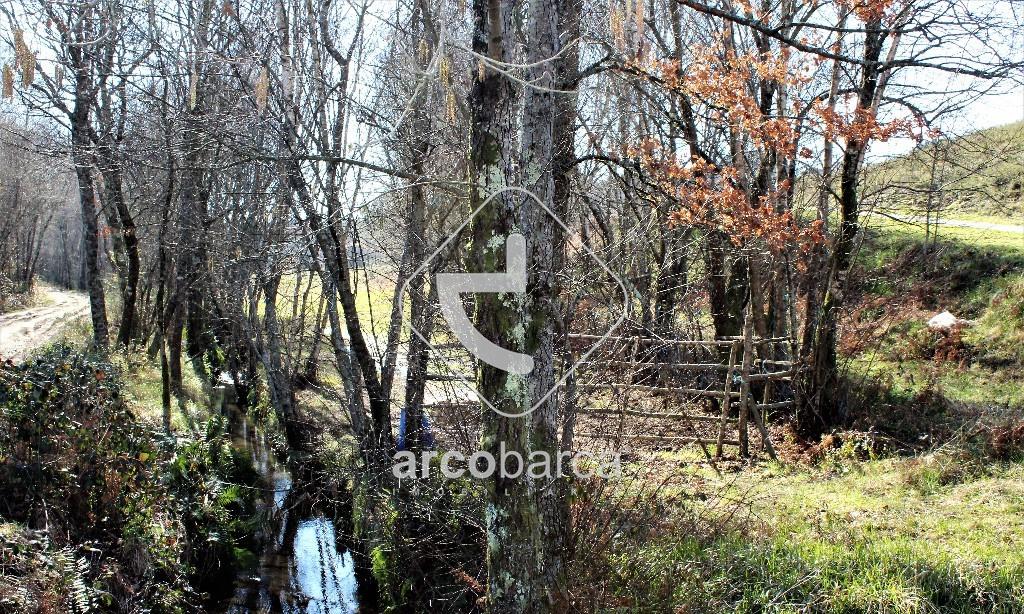 Land in Paredes de Coura, Viana do Castelo