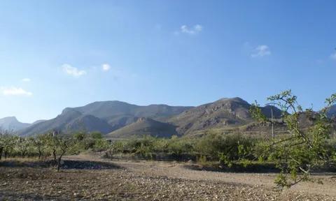 Land in Murcia, Murcia