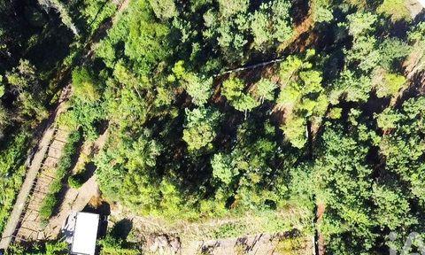 Land in Esposende, Braga