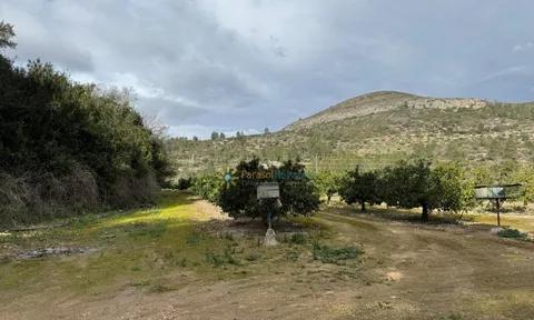 Land in Beniganim, Valencia