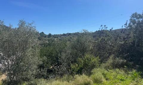 Land in Cervera Del Maestre, Castellon